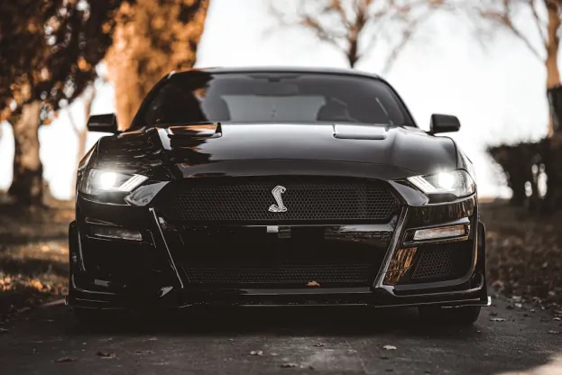 Pure Casino Application Android/iOS